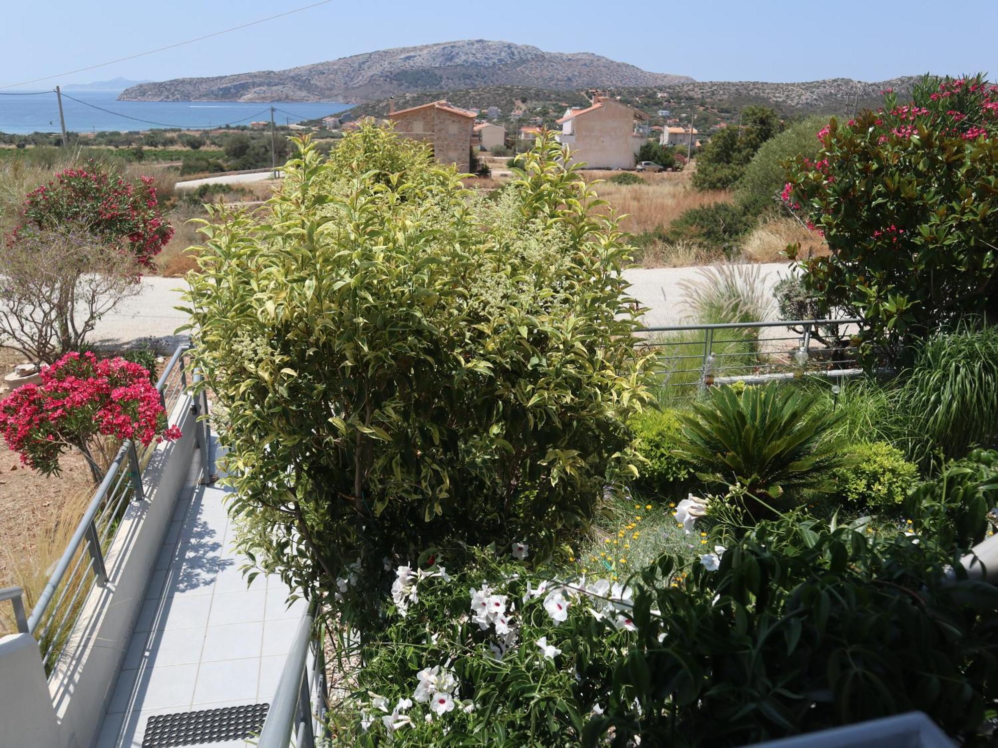 Διαμέρισμα Patroclos Seaview